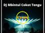 DJ Mbintul Dicokot Tengu專輯_DJ LINTANGDJ Mbintul Dicokot Tengu最新專輯