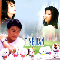 Tình Bạn (Mưa Hồng CD 337)