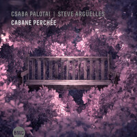 Cabane Perchée專輯_Csaba PalotaïCabane Perchée最新專輯