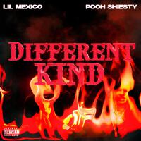 Different Kind (Explicit)