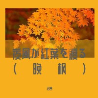 夜風が紅葉を渡る(晚楓)