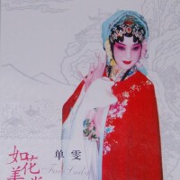 如花美眷