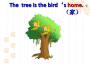 The Birdtree