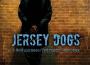 Jersey Dogs