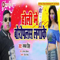 Holi Me Boropalas Lagake - Single