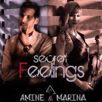 secret feelings (feat. Marina Barskaya)專輯_Amine Doukalisecret feelings (feat. Marina Barskaya)最新專輯