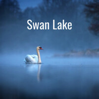 Swan Lake專輯_Mincho MinchevSwan Lake最新專輯