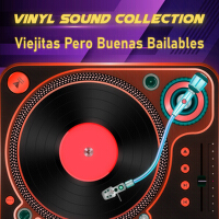 Vinyl Sound Collection: Viejitas Pero Buenas Bailables