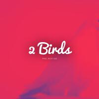 2 Birds