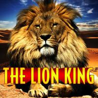 King Lion Players歌曲歌詞大全_King Lion Players最新歌曲歌詞