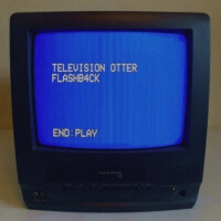 Television Otter