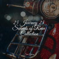 25 Journey 25 Sounds of Rain Collection專輯_Ready Baby Music!25 Journey 25 Sounds of Rain Collection最新專輯