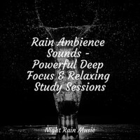 Rain Ambience Sounds - Powerful Deep Focus & Relax