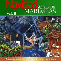 Navidad al son de marimbas, Vol. 2