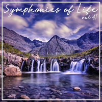 Symphonies of Life, Vol. 41 - Bruckner: Sinfonie Nr.7 arr. Stein, Eisler, Rankl