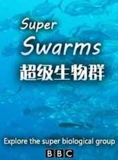 最新2011-2000其它電視劇_好看的2011-2000其它電視劇大全/排行榜_好看的電視劇