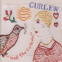 Meet the Curlews