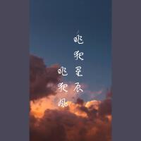 昨夜星辰昨夜風