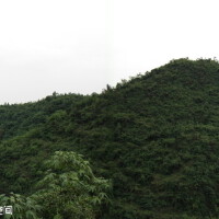 青山圖片照片_青山