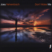 Don't Wake Me專輯_Joey FehrenbachDon't Wake Me最新專輯