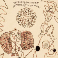 Rejoicing in the Hands專輯_Devendra BanhartRejoicing in the Hands最新專輯