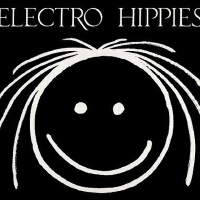 Electro Hippies