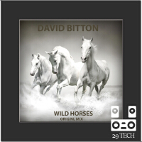 Wild Horses