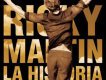 Vida (Spanish Version)歌詞_Ricky MartinVida (Spanish Version)歌詞