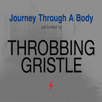 Journey Through a Body