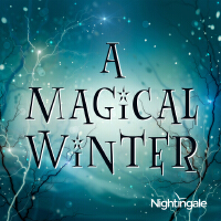 A Magical Winter