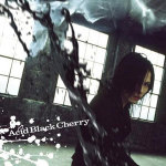 冬の幻專輯_Acid Black Cherry冬の幻最新專輯