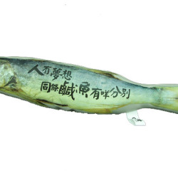 鹹魚圖片照片_鹹魚