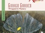 Ayurvital - Wrapped In Mystery專輯_Ginkgo GardenAyurvital - Wrapped In Mystery最新專輯