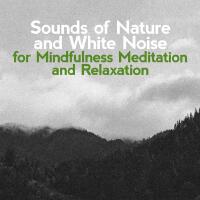 Sounds of Nature White Noise for Mindfulness Meditation and Relaxation